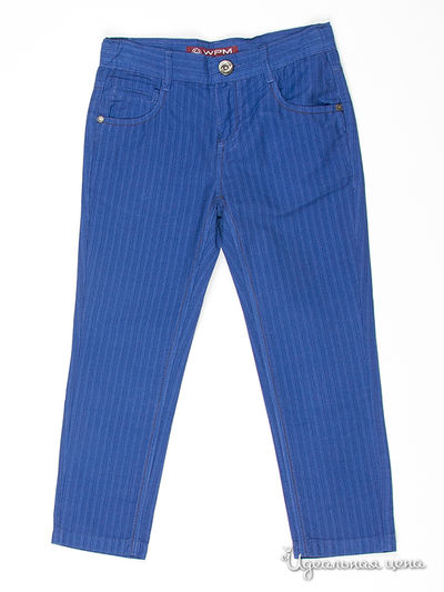 Брюки WPM, цвет цвет синий