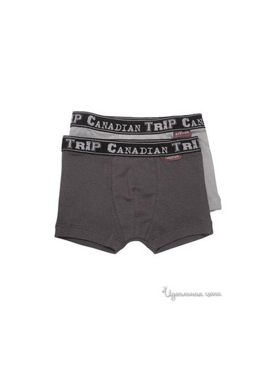 Трусы Absorba, цвет серый