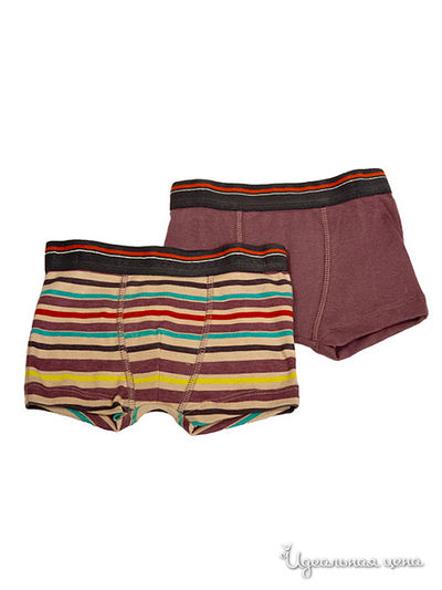 Трусы Absorba, цвет баклажан