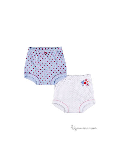 Трусы Absorba, цвет белый, розовый, голубой