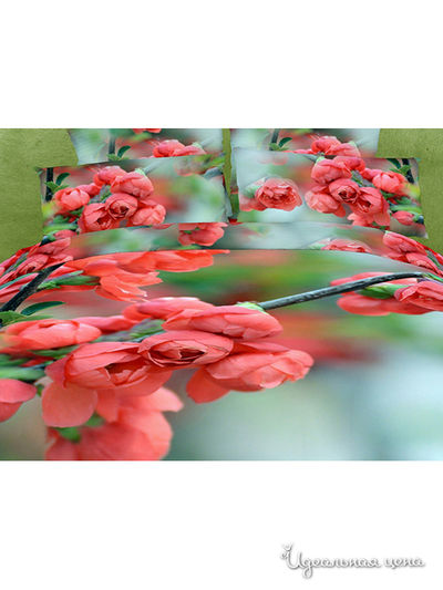 Комплект постельного белья, двуспальный Buenas Noches, цвет мультицвет