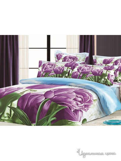 Комплект постельного белья, Евро 3D Buenas Noches, цвет мультицвет