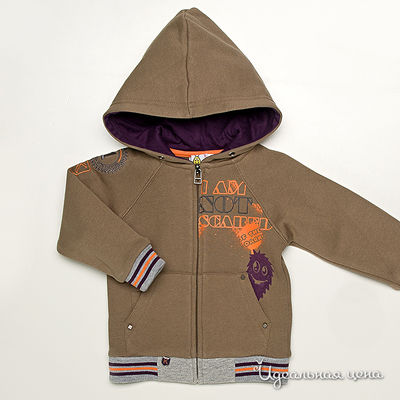 толстовка для мальчика Krickets