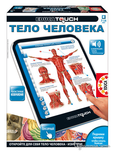 Эдукатач "Тело человека" Educa