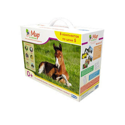 Развивающий набор Umnitsa