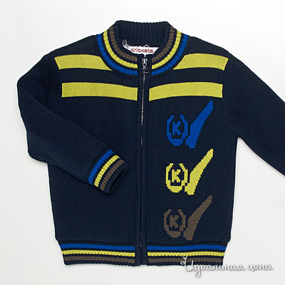 джемпер для мальчика Krickets