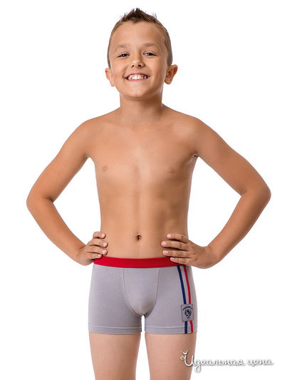 Трусы Nirey, цвет серый