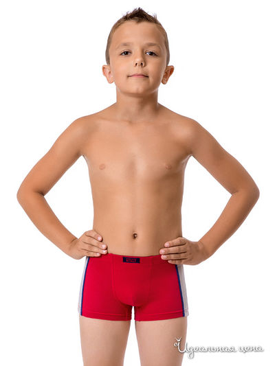 Трусы Nirey, цвет бордовый