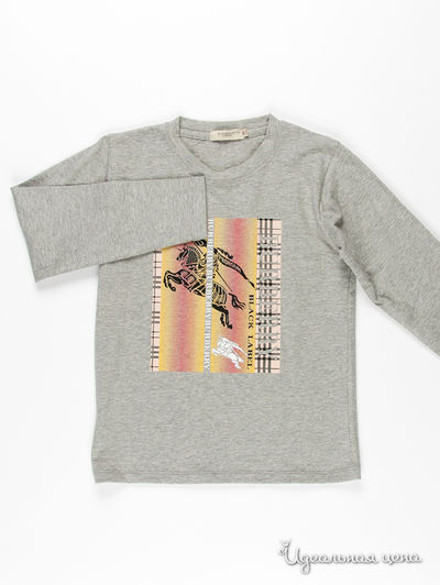 Футболка Burberry, цвет серый