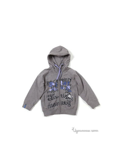 Толстовка Silver Sun, цвет серый