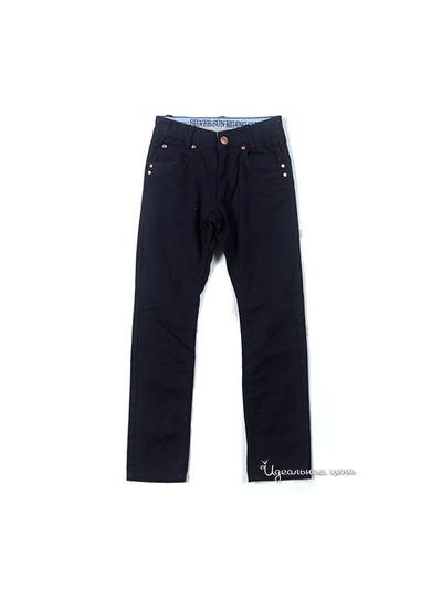 Брюки Silver Sun, цвет синий