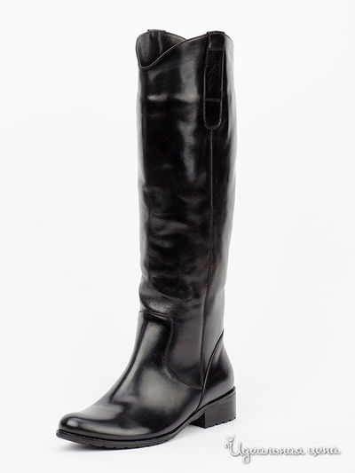 Сапоги Abbi, цвет черный