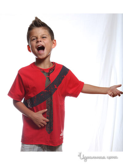 Футболка Warrior Poet USA, цвет красный