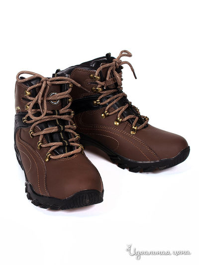 Ботинки Beppi, цвет Коричневый