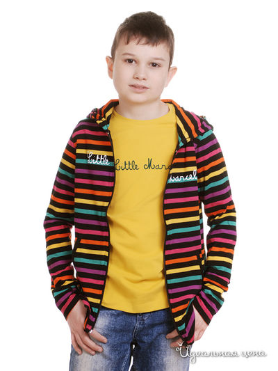 Толстовка Little Marcel, цвет мультиколор