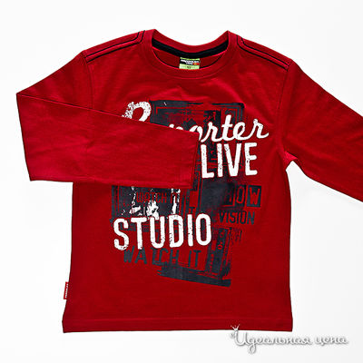 Джемпер  для мальчика Young Reporter