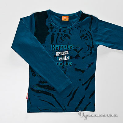 Джемпер  для девочки Young Reporter