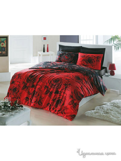 Комплект постельного белья, 1,5-спальный Cotton Box, цвет мультиколор