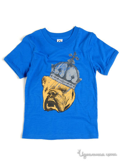 Футболка Appaman, цвет голубой