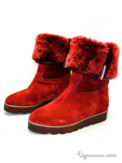 Полусапоги Klimini, цвет Бордо