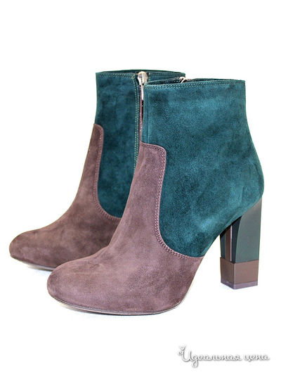 Ботильоны Klimini, цвет темно-коричневый/синий