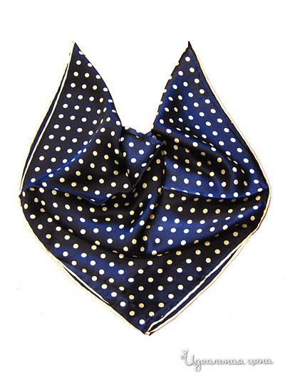 Платок Passigatti, цвет темно-синий