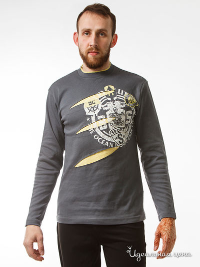 Толстовка Rodi, цвет серый