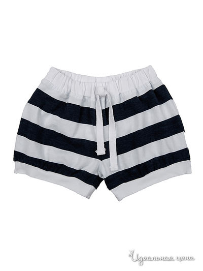 Шорты Mini Maxi, цвет синяя  полоска