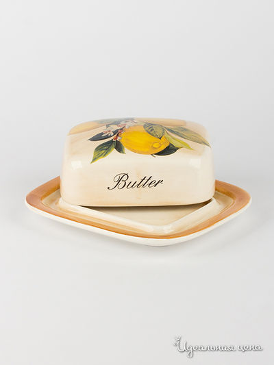 Масленка LCS, цвет Мультиколор