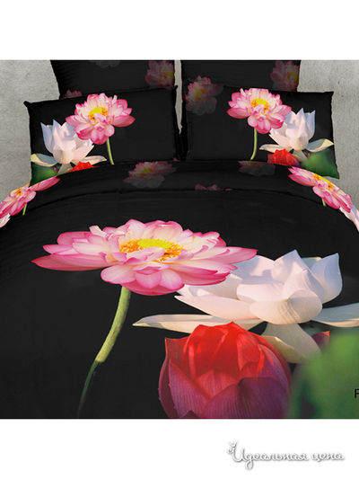 Комплект постельного белья, Евро Buenas Noches, цвет мультицвет