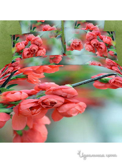 Комплект постельного белья, Евро Buenas Noches, цвет мультицвет