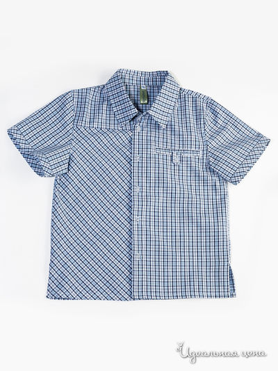 Рубашка Венейя, цвет синяя клетка