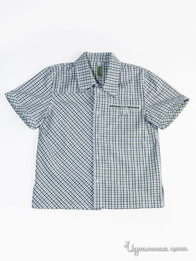 Рубашка Венейя, цвет зеленая клетка