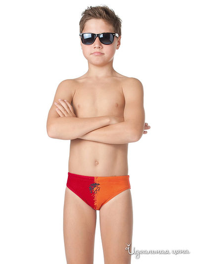 Трусы Nirey, цвет принт 'саблезубый тигр и гладиатор'