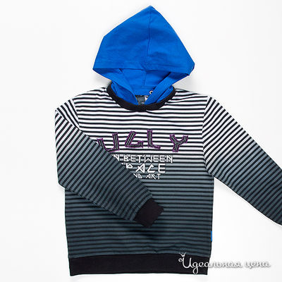 Толстовка Coccodrillo, цвет цвет мультиколор