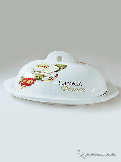 Масленка Nuova Cer, цвет нет