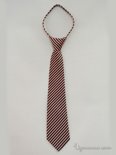 Галстук Brostem, цвет бордовый