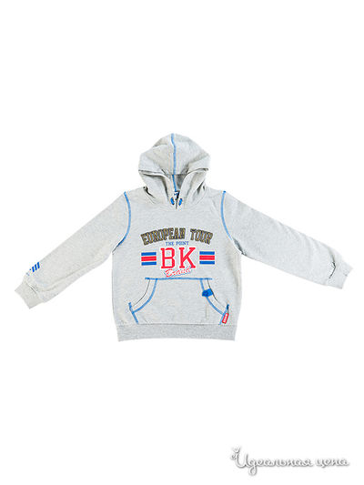 Толстовка Bodi Bear, цвет серый