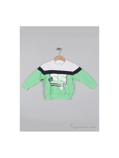 Толстовка Amk, цвет Зеленый