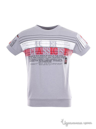 Футболка Bold, цвет серый