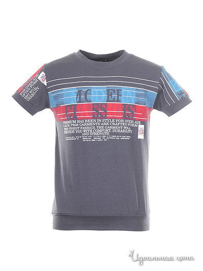 Футболка Bold, цвет т-серый