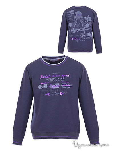 Толстовка Cegisa, цвет т-серый