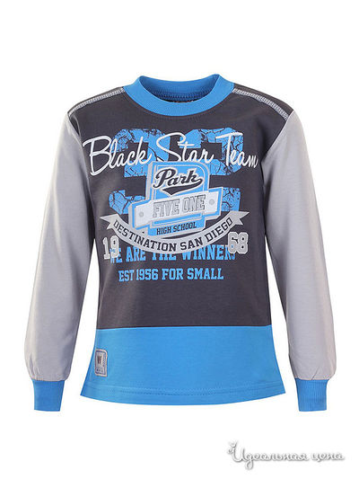 Толстовка Waxmen, цвет т-серый