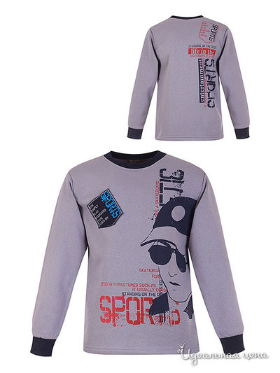 Толстовка Waxmen, цвет серая