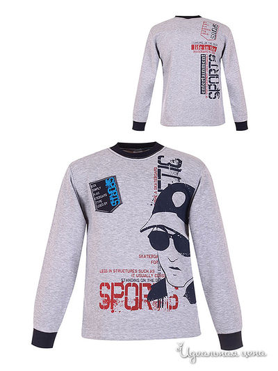 Толстовка Waxmen, цвет серая