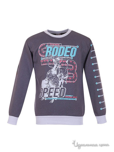 Толстовка Waxmen, цвет серая