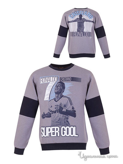 Толстовка Waxmen, цвет серая