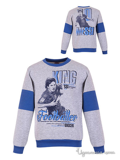 Толстовка Waxmen, цвет серая