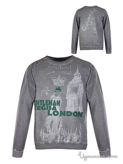 Толстовка Cegisa, цвет серый