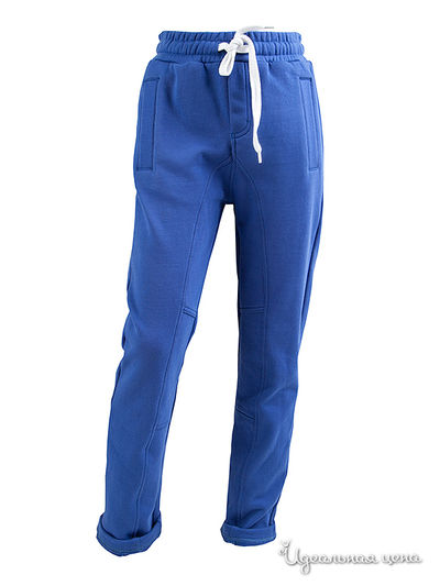 Брюки Gulliver, цвет синие